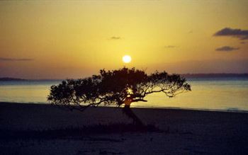 Sonnenuntergang auf Fraser Island