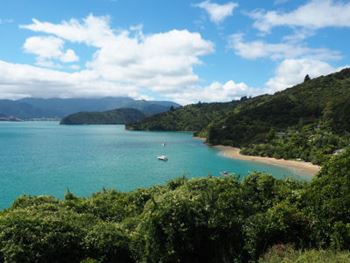 Neuseeland - Strand mit Bucht und Bergen